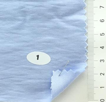 1 Pale Blue