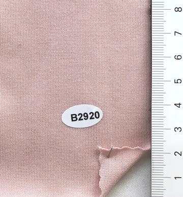 B2920 Dusty Pink
