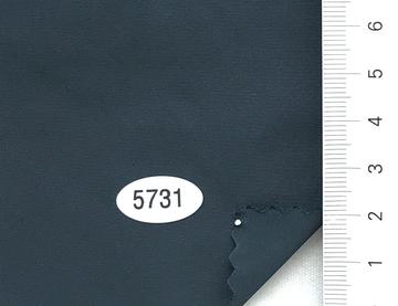 5731 Navy