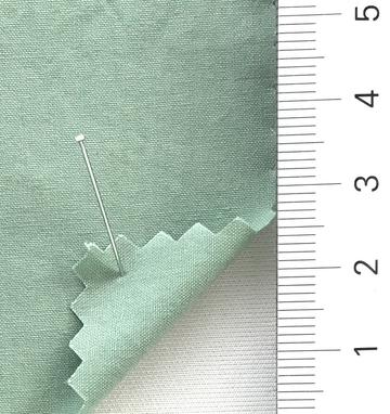 99999 Pale Green