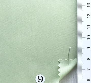 9 Pale Green