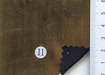 11 Camel