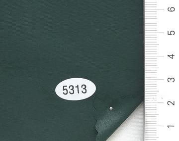 5313 Green