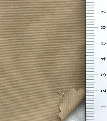 18 Camel
