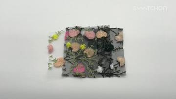 media thumbnail