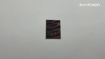 media thumbnail