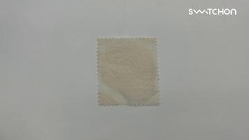 media thumbnail