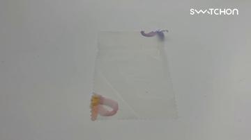 media thumbnail