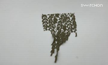 media thumbnail