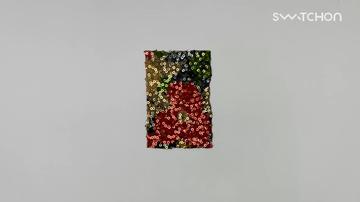 media thumbnail