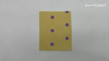 QL-060917 1