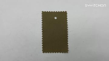 QL-061710 1